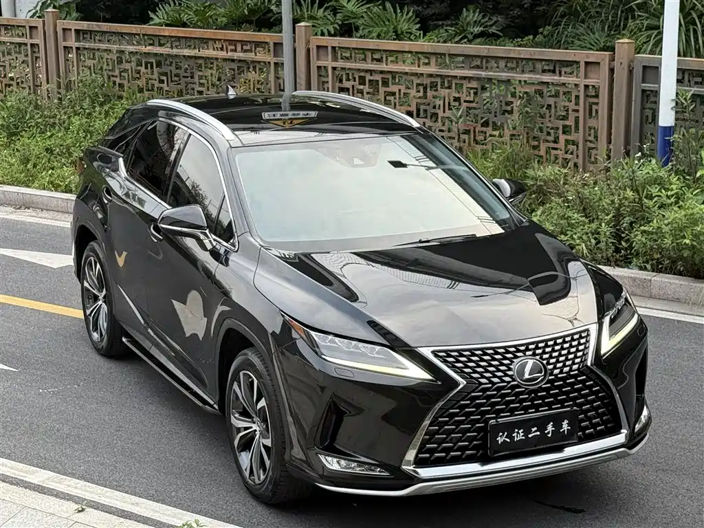 Lexus RX 2020 300 4WD Elegance Edition China VI фото 11