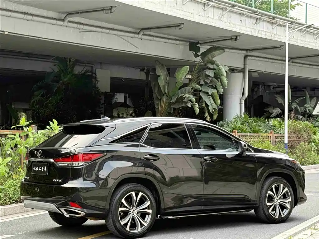 Lexus RX 2020 300 4WD Elegance Edition China VI фото 22