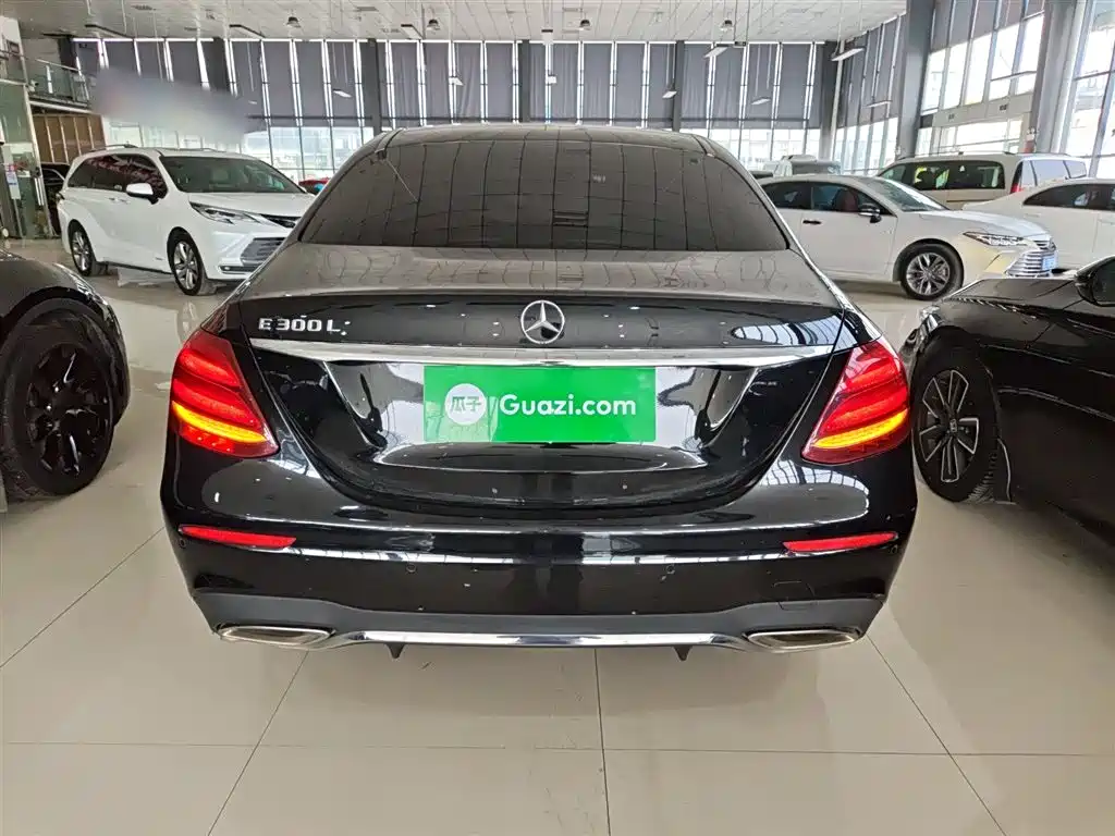 Mercedes-Benz E-Class 2016 E 300 L Sport Fashion Type фото 6