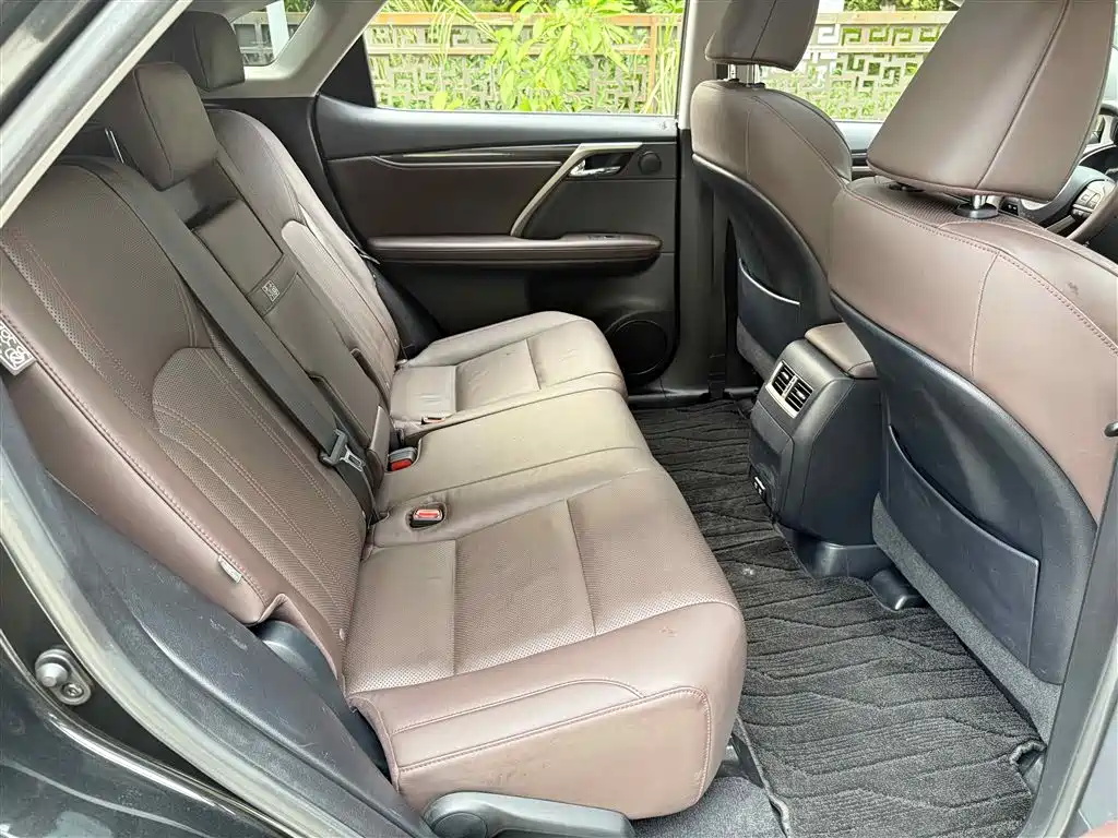 Lexus RX 2020 300 4WD Elegance Edition China VI фото 17