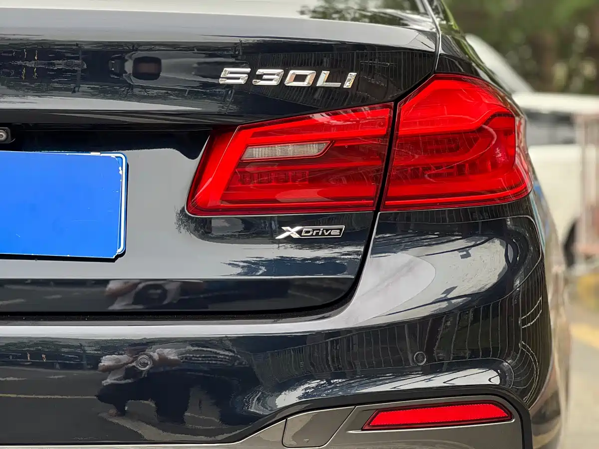 BMW 5 Series 2019 530Li xDrive M Sport Package фото 18