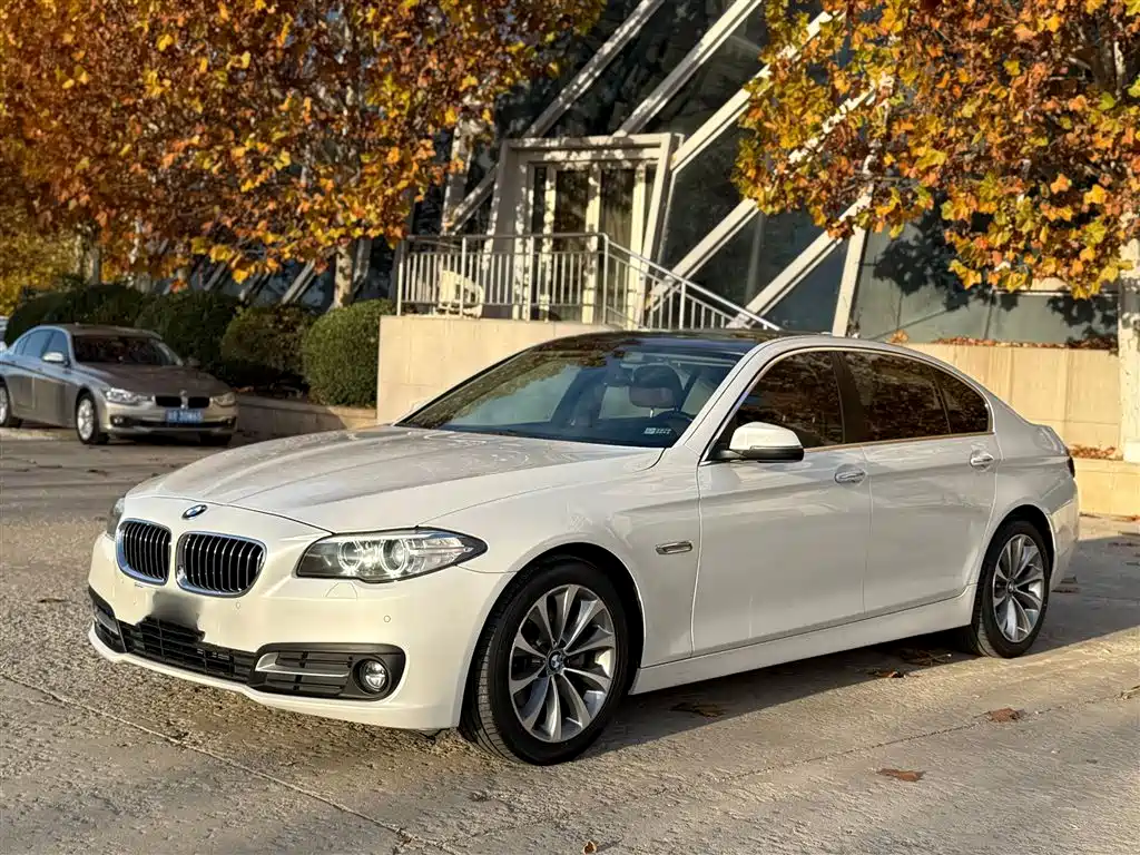 BMW 5 Series 2017 525Li Leading Edition фото 2