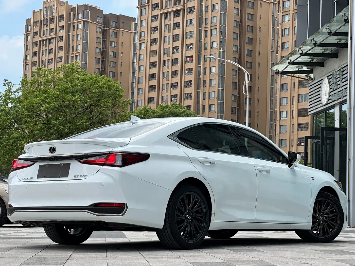 Lexus ES 2018 260 F SPORT (China V) фото 6