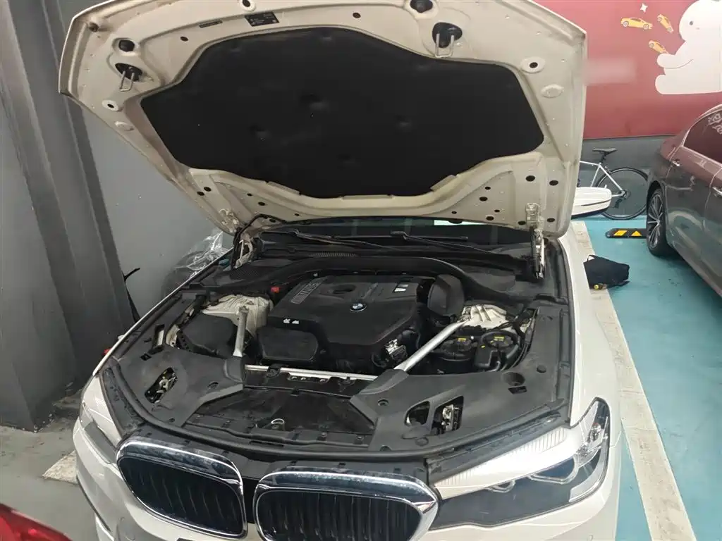 BMW 5 Series 2020 525Li M Sport Package фото 16