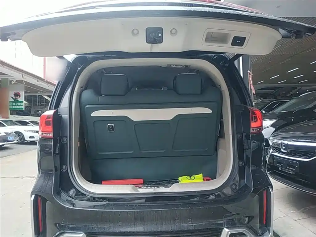 GAC Trumpchi Trumpchi M8 2018 320T Premium Edition фото 19