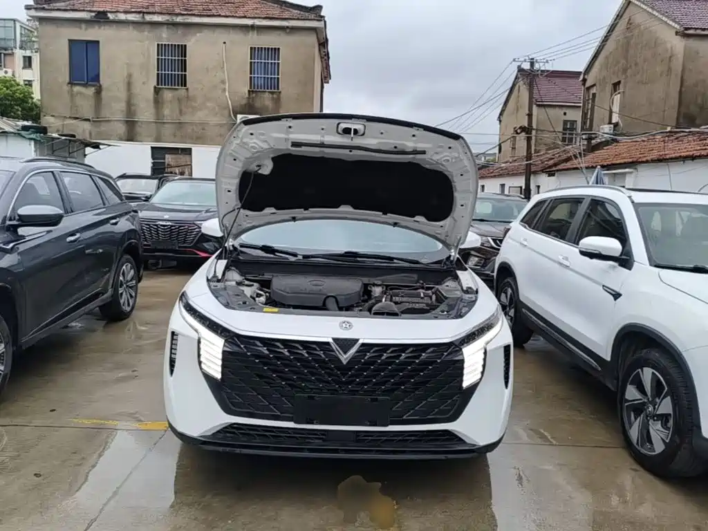 Venucia Big V 2022 2021 260T Idol Edition