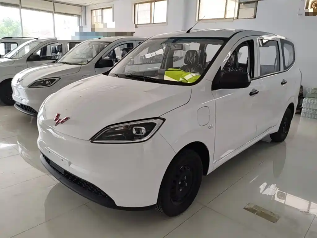  Wuling Motors Wuling Hongguang New Energy 2024 Pure Electric 300KM Standard