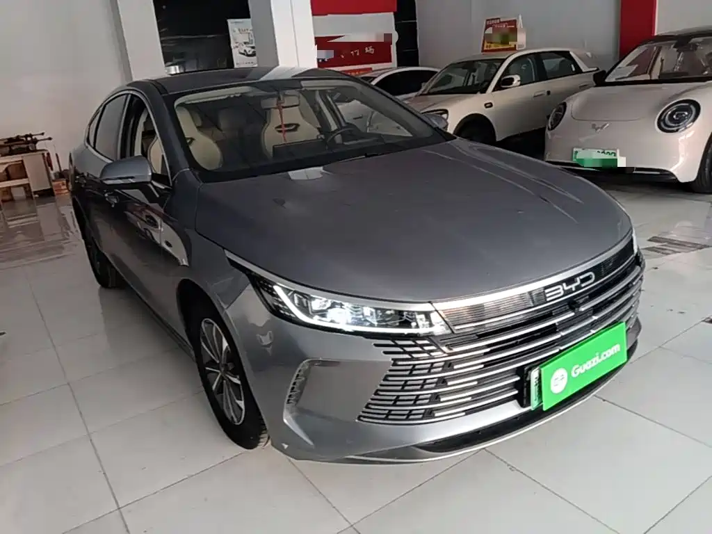 BYD Destroyer 05 2025 2024 Glory Edition DM-i 55KM Luxury