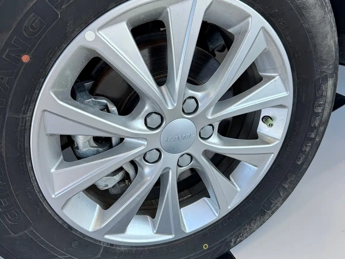 Фото 4 - Haval M6