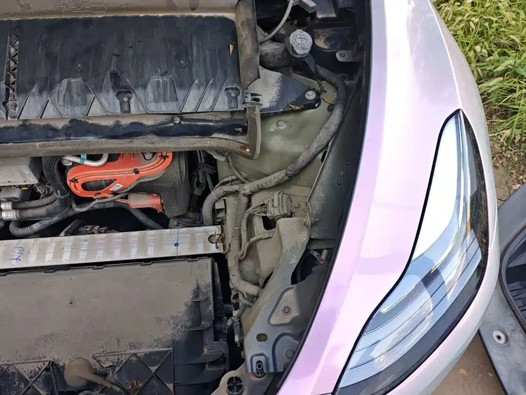 Photo 20 - Tesla Model Y