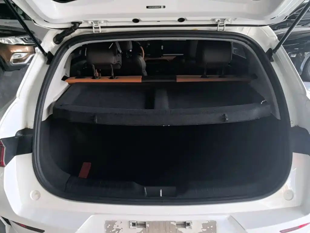 BYD e2 2021 2021 Premium Model