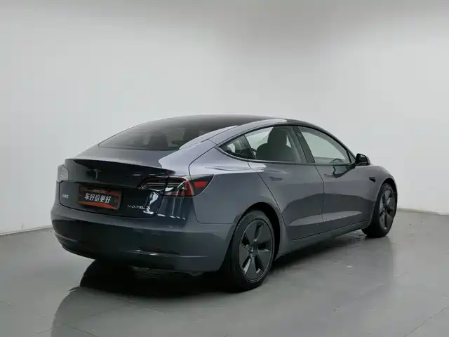 Tesla Model 3 2021 Standard Range Rear-Wheel Drive Upgrade 3D6 — фото 2