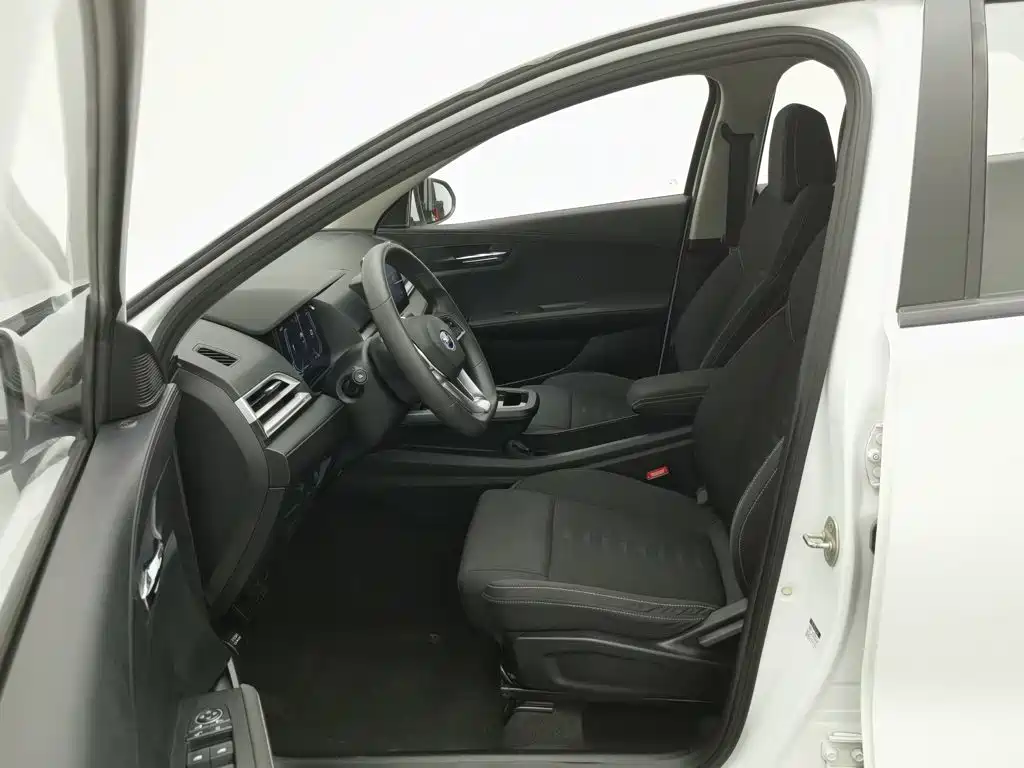 BYD e2 2020 2019 Standard Range Yue·Standard Model