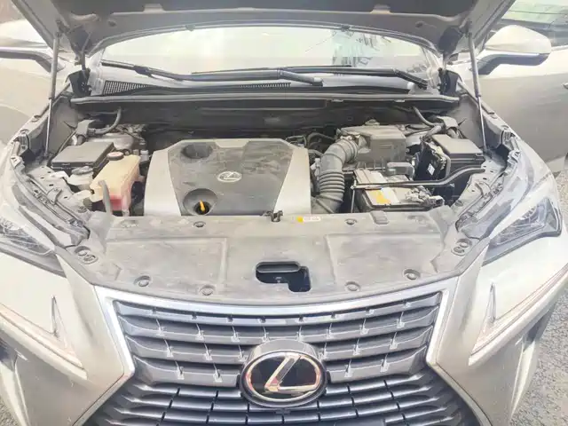 Lexus NX 2020 200 FWD Fengyi Edition China VI — фото 3