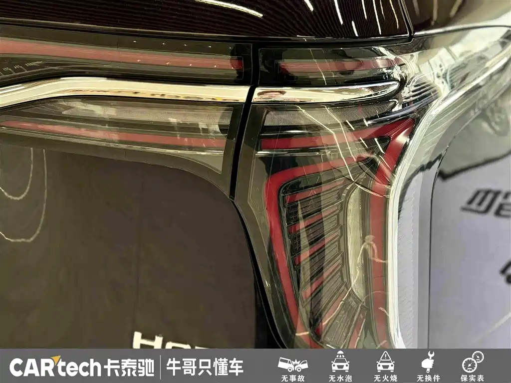 Hongqi HQ9 PHEV 2024 Model 2.0T AWD Business Edition фото 13