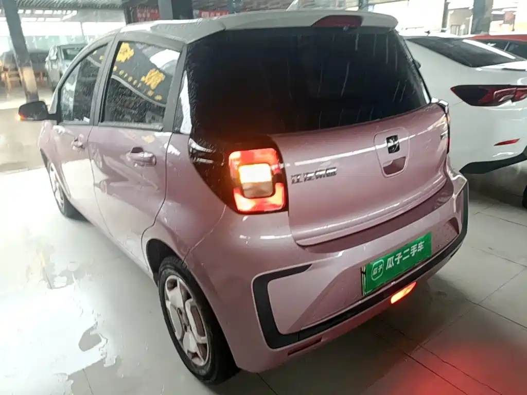 Sehol Flower Fairy 2023 2023 Anniversary Edition 301km Starlight 45kW