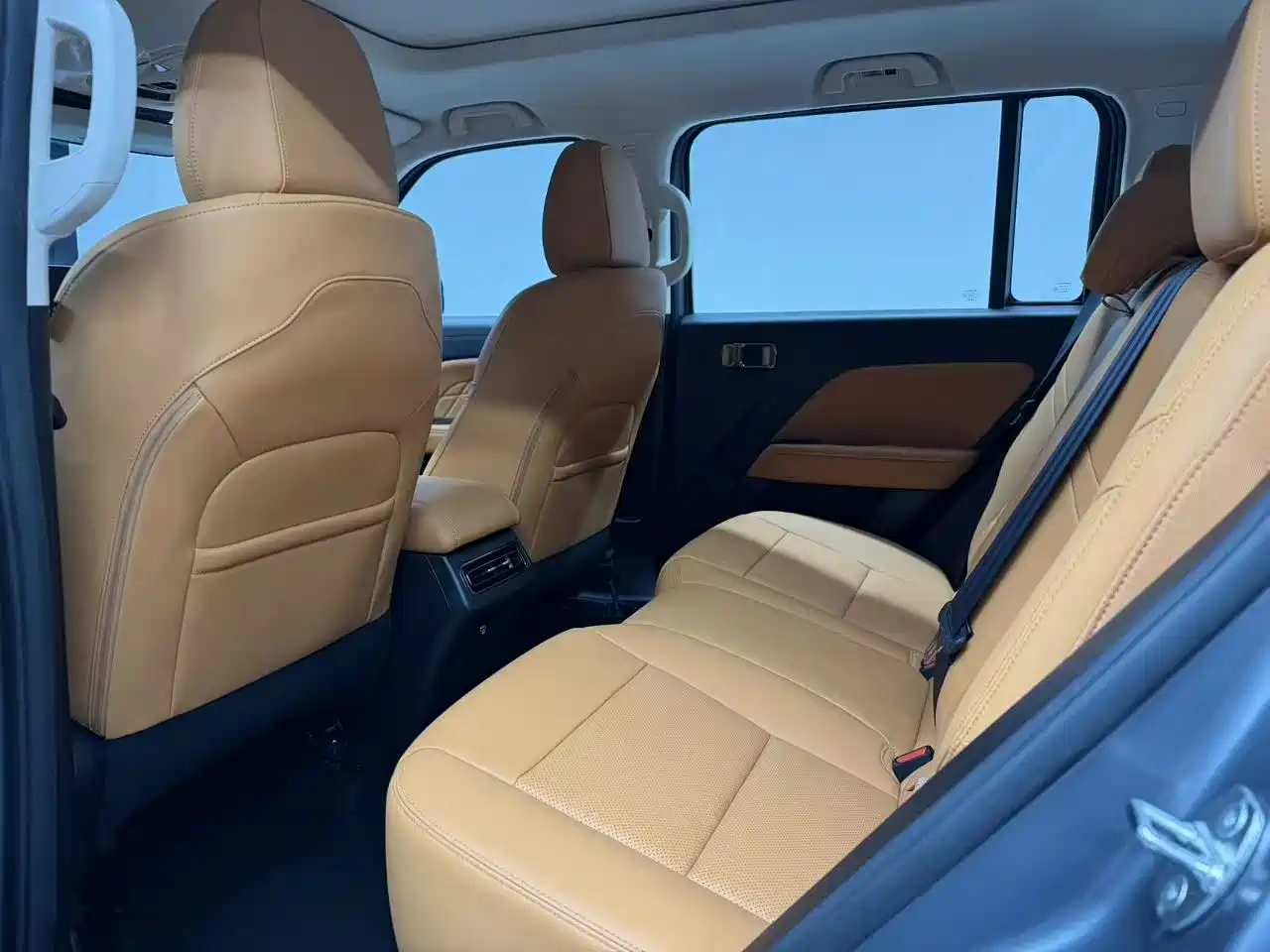 HAVAL RAPTORS NEW ENERGY