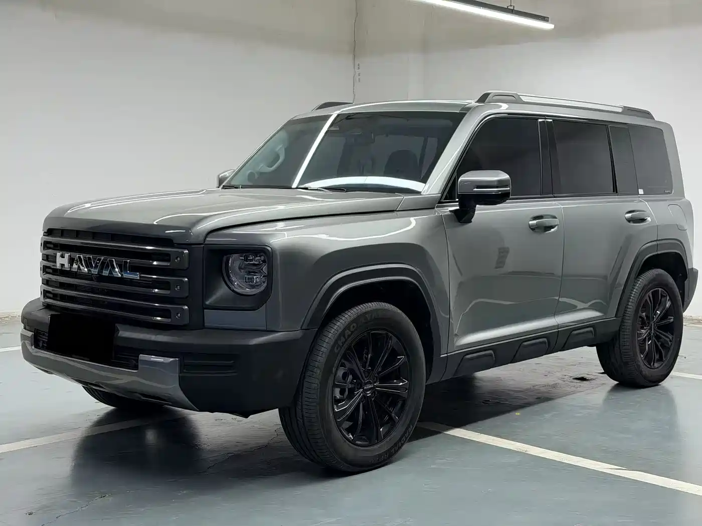 HAVAL RAPTORS NEW ENERGY