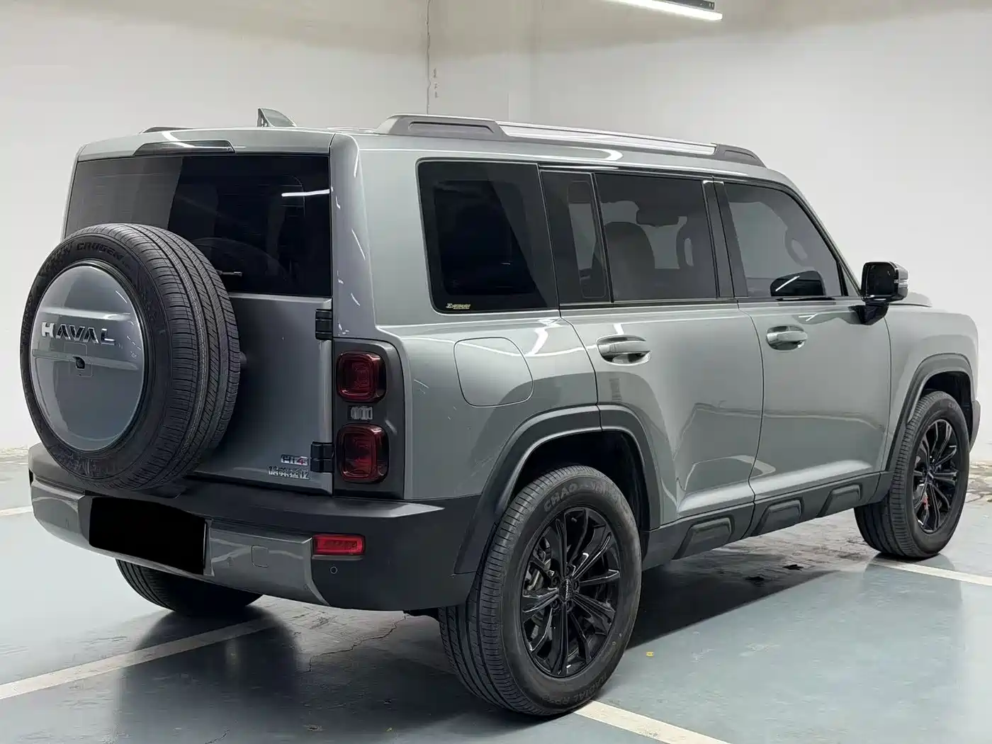 HAVAL RAPTORS NEW ENERGY