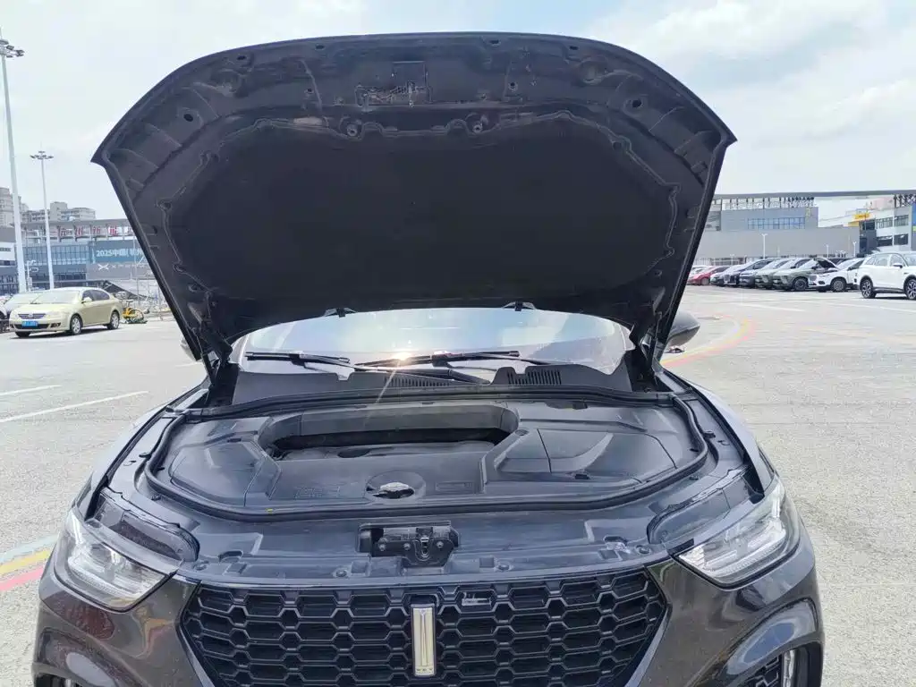 WEY VV5 2017 2017 2.0T Super Luxury Model