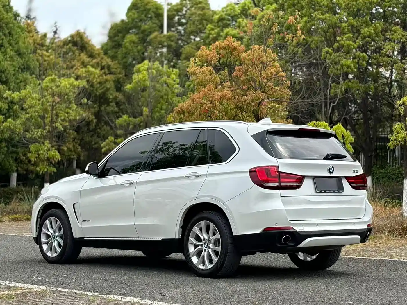 BMW X5 (Import) 2018 xDrive28i фото 6