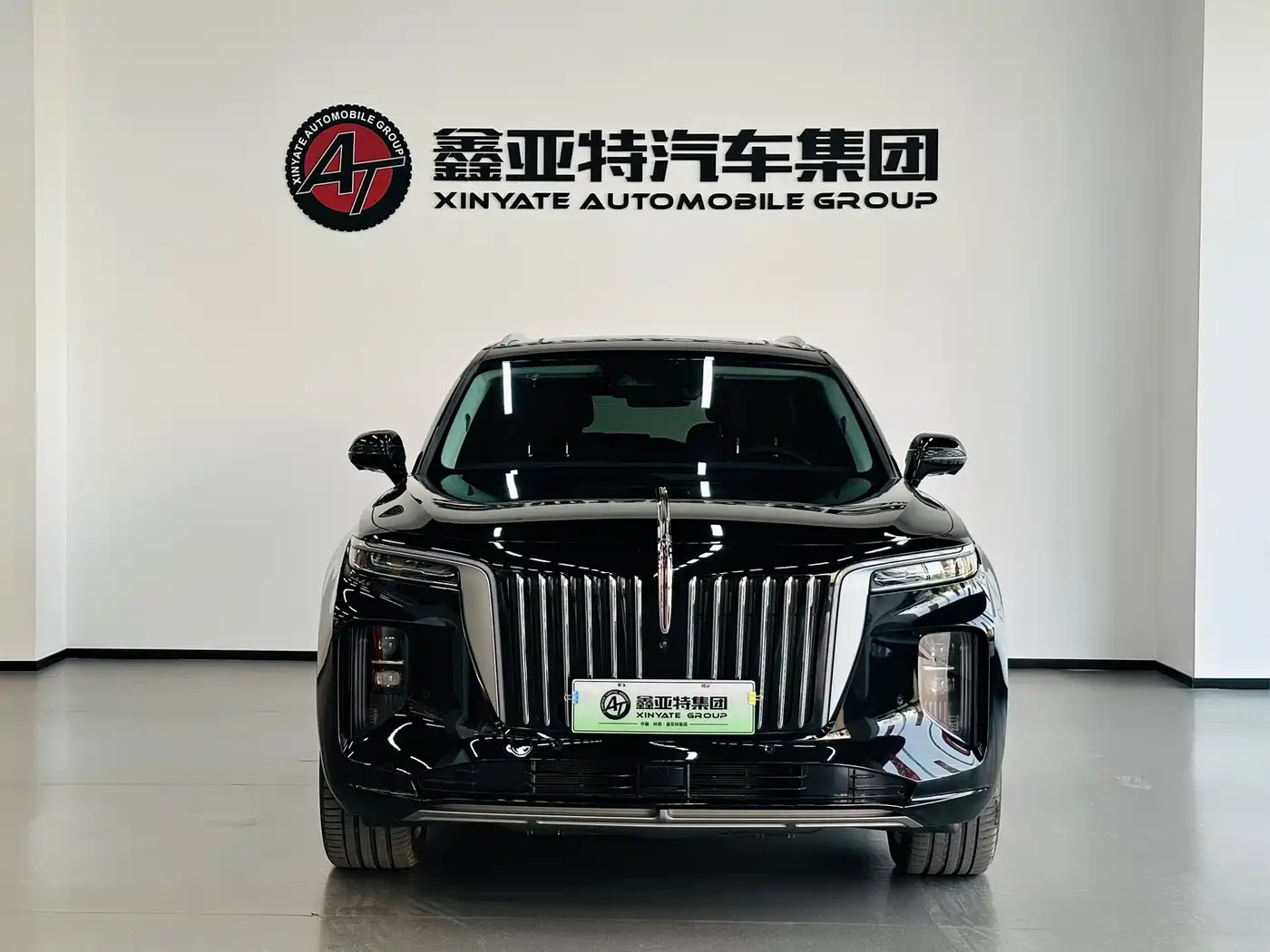 Hongqi HONGQI E HS9