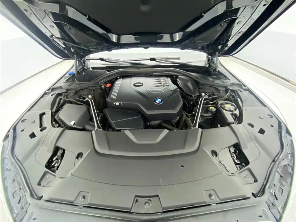 BMW 7 Series 2021 Model 730Li M Sport Package фото 12
