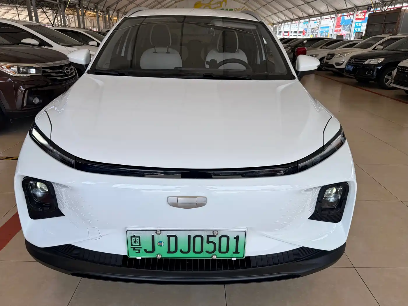 Geely Geometry E Firefly 2024 2024 401km Starlight