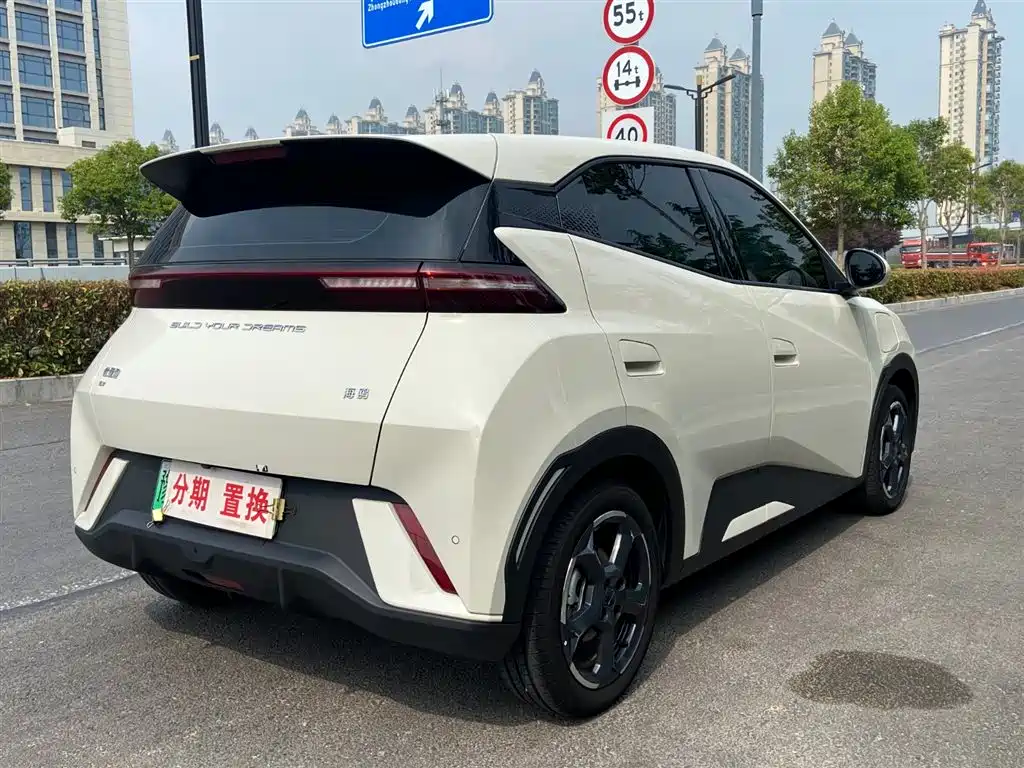 BYD Seagull 2023 Freedom Edition фото 12
