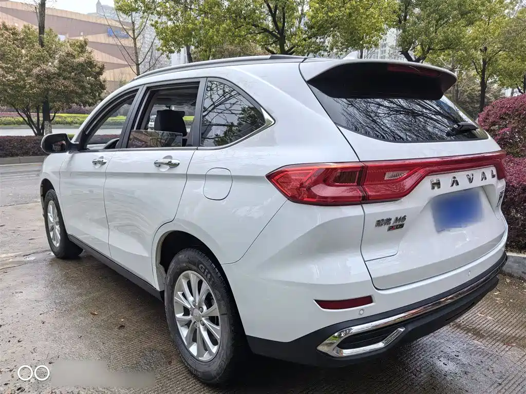 HAVAL M6