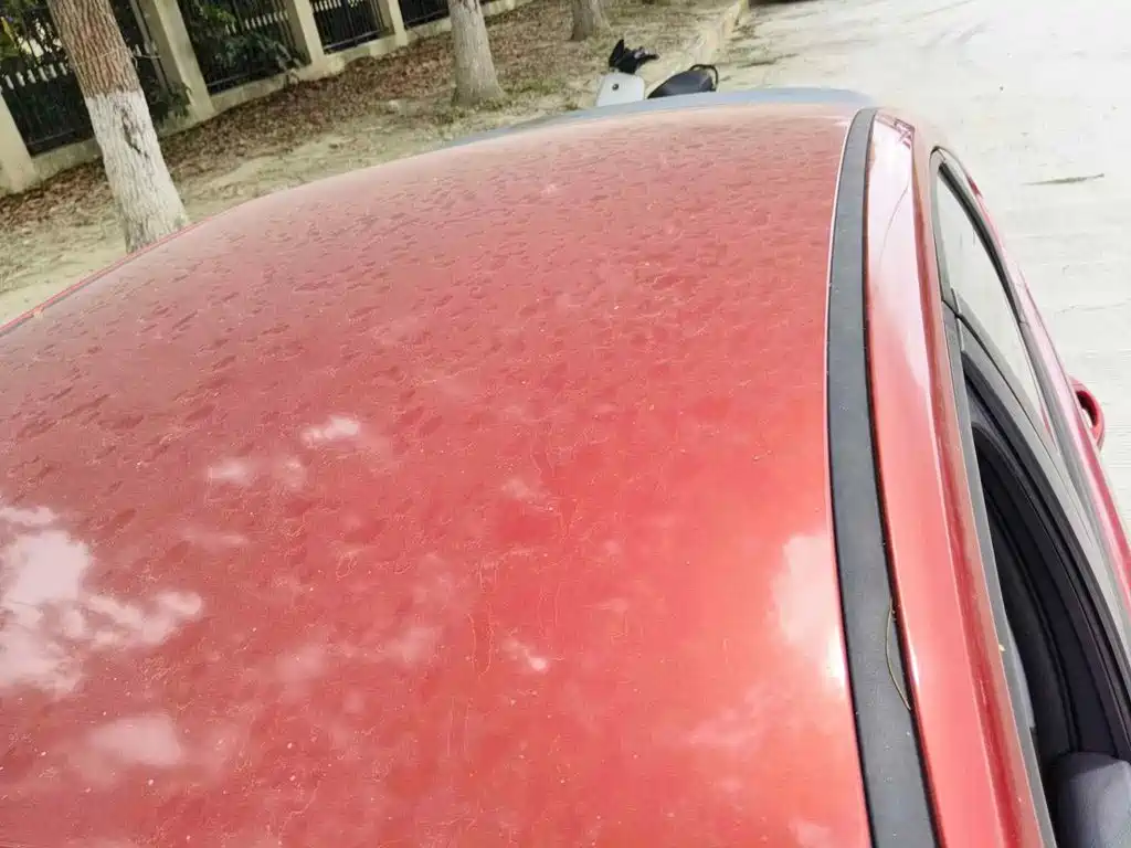 Фото 6 - Ford Focus