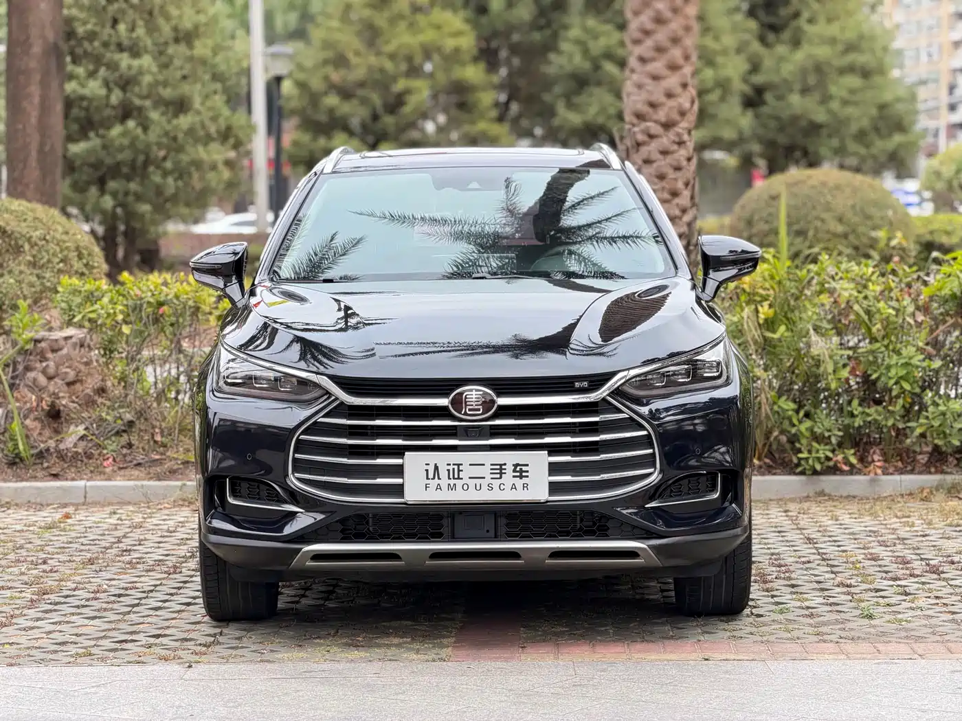 BYD TANG