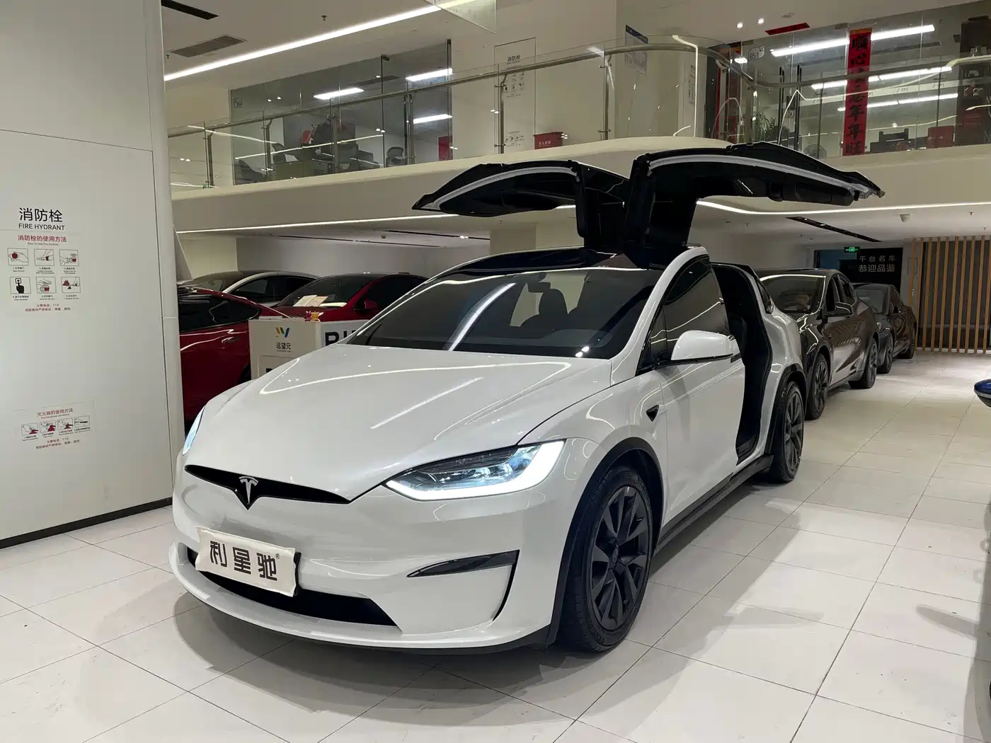 2025 Tesla Model X
