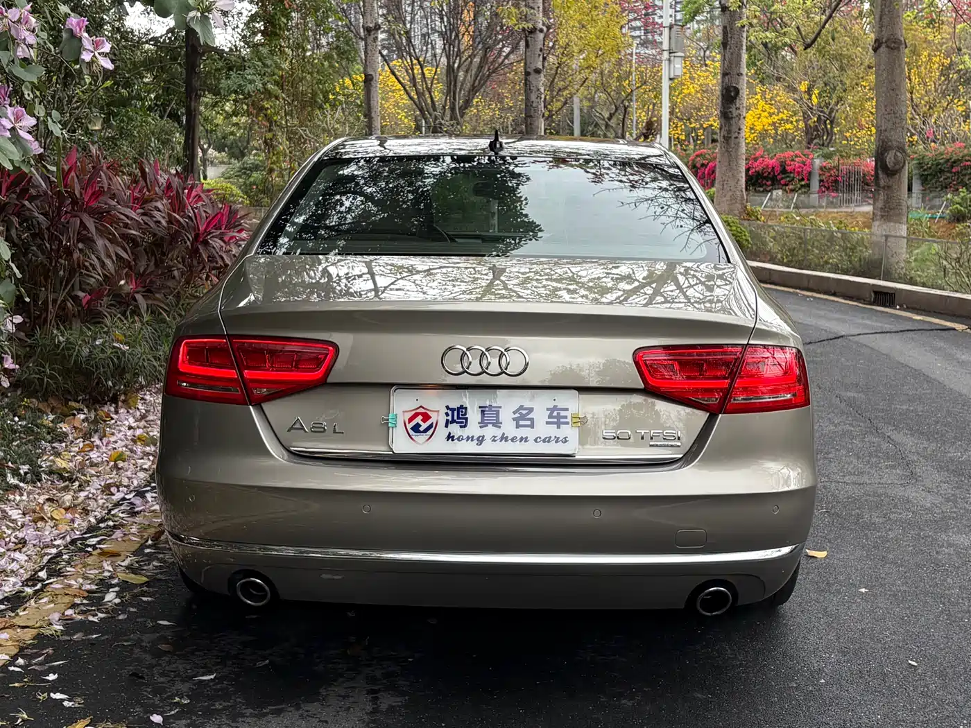 Audi A8 2012 A8L 50 TFSI quattro Luxury фото 4