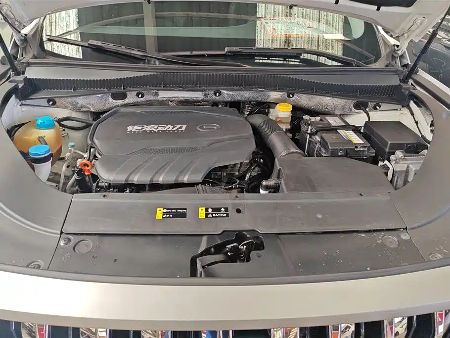 GAC Trumpchi Trumpchi GS4 PLUS 2023 390T Auto Nebula Edition фото 10