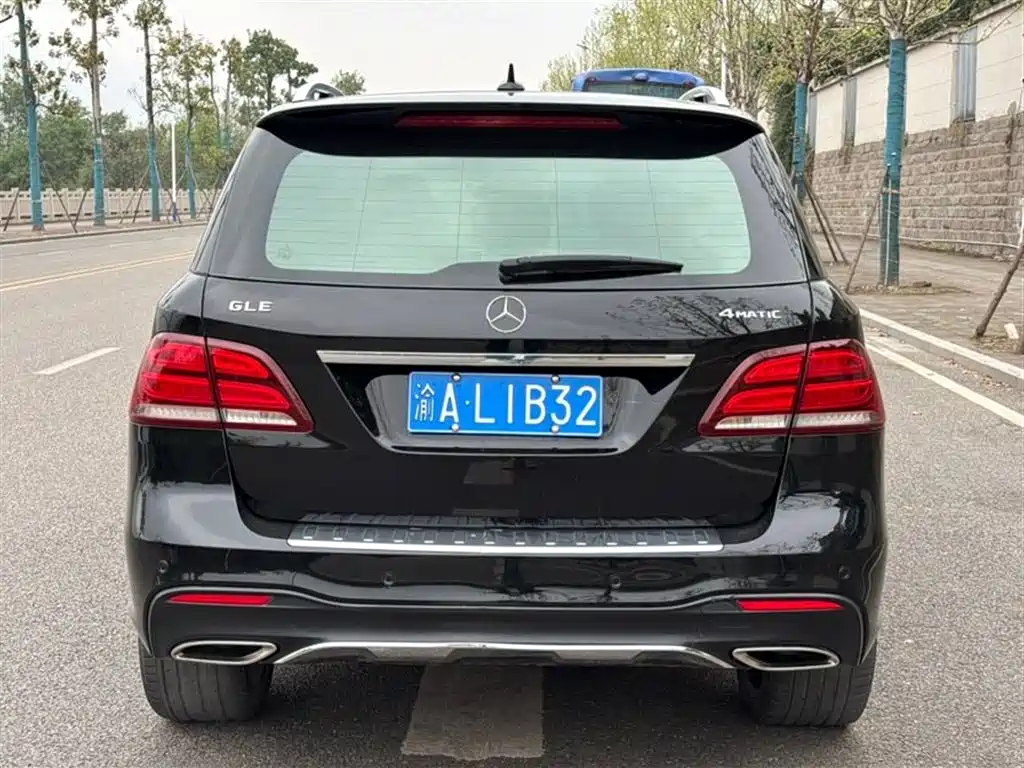 Mercedes-Benz GLE 2017 GLE 320 4MATIC Luxury фото 6
