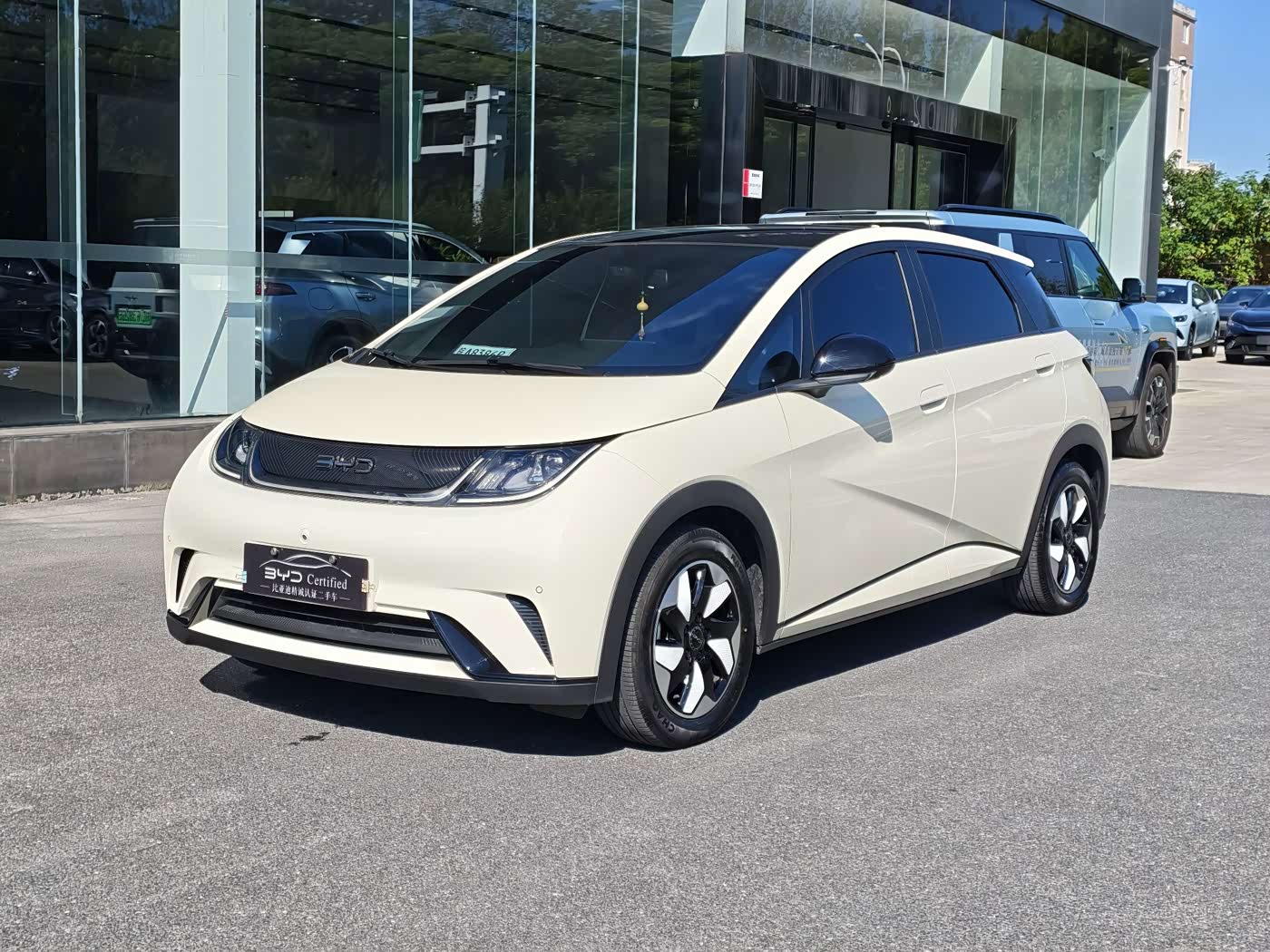 BYD Dolphin