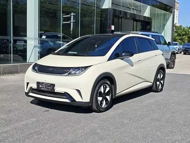 BYD Dolphin Слава, 420km, Стиль