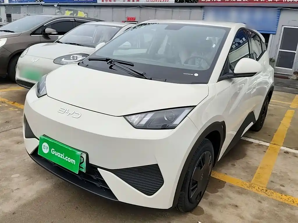 BYD Seagull 2025 Smart Drive Edition 305km Vitality Version