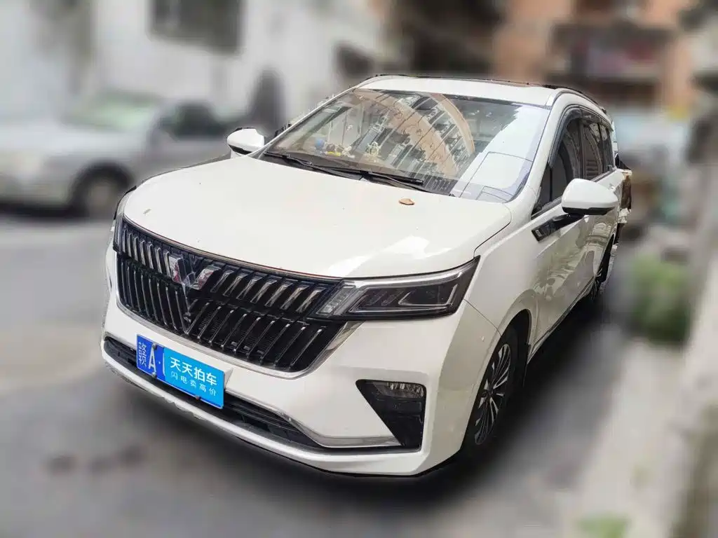 Wuling Motors Wuling Jiachen 2022 1.5T CVT Exclusive Flagship Model