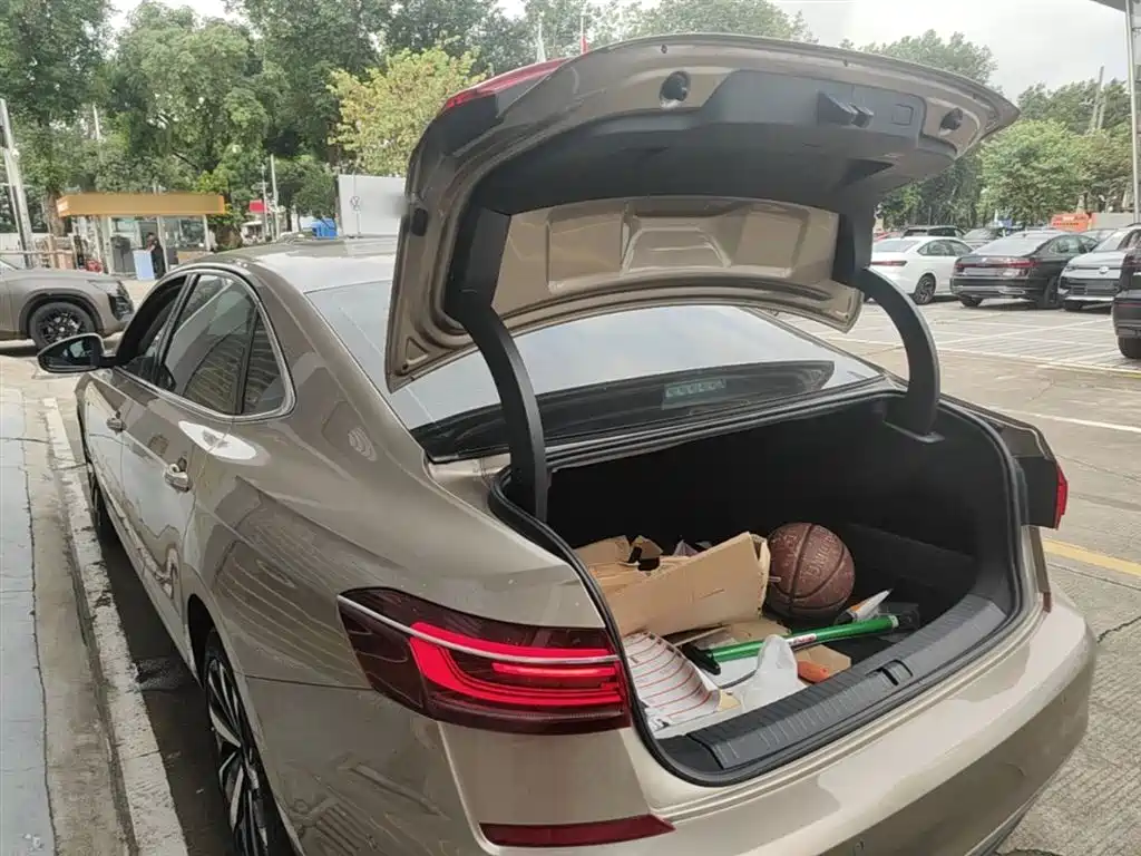 Volkswagen Passat 2022 330TSI Starlight Luxury Edition фото 19