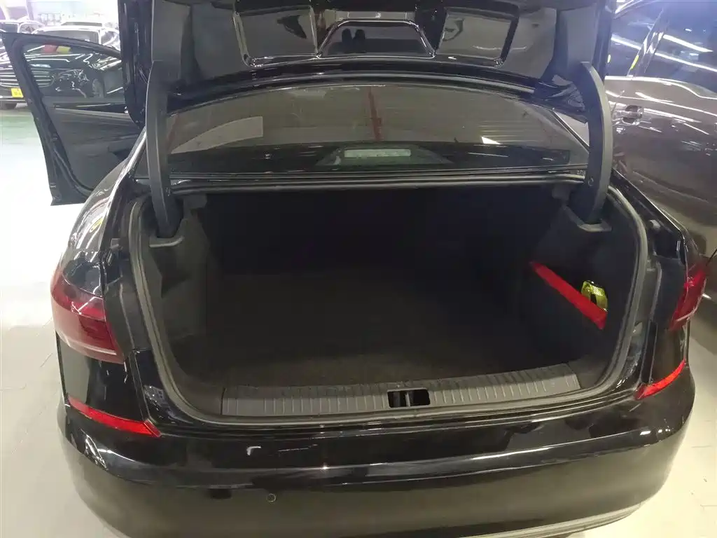 Volkswagen Passat 2022 330TSI Starlight Elite Edition фото 15