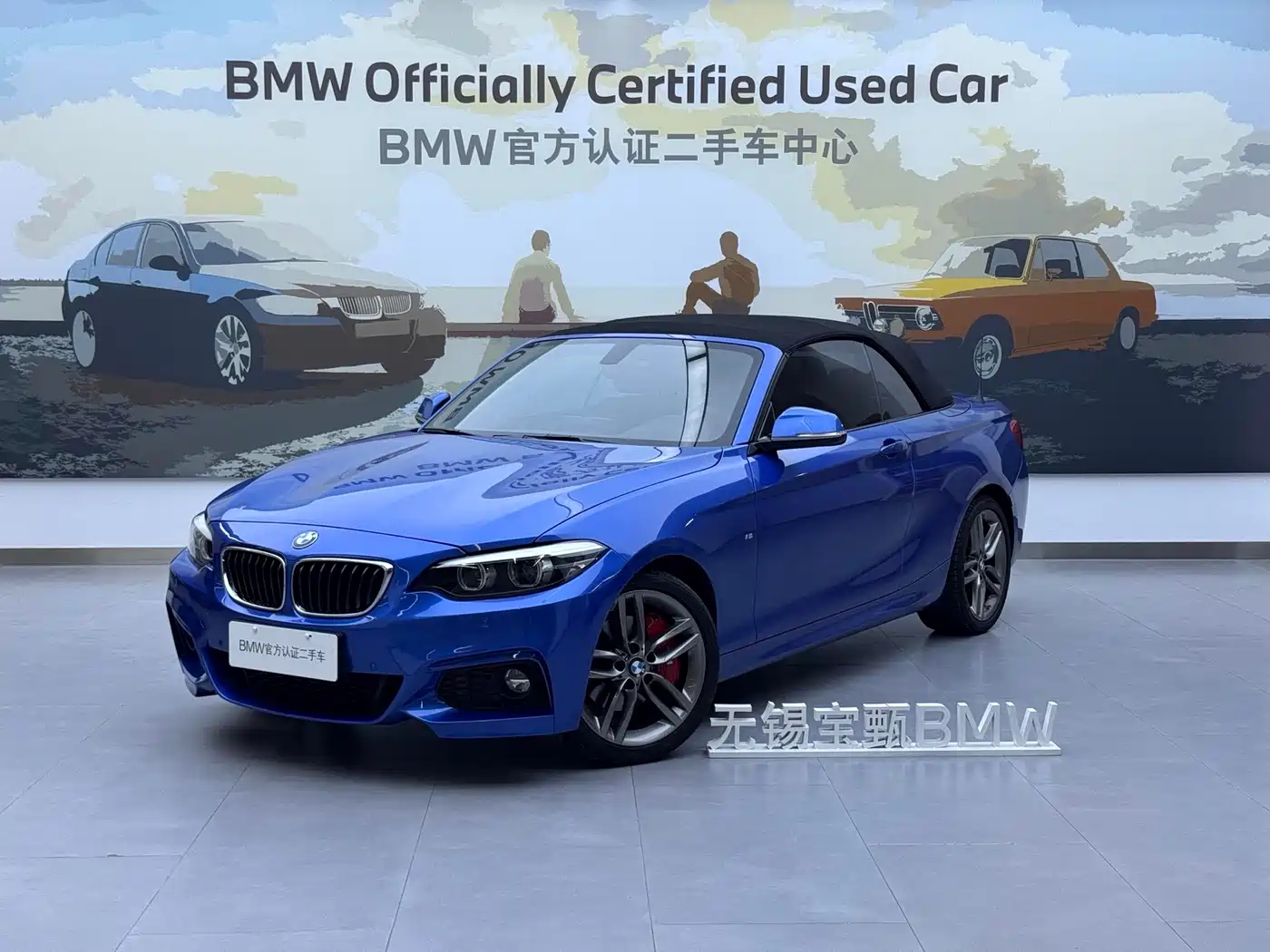 BMW 2 Series (Import) 2018 225i Convertible Coupe M Sport