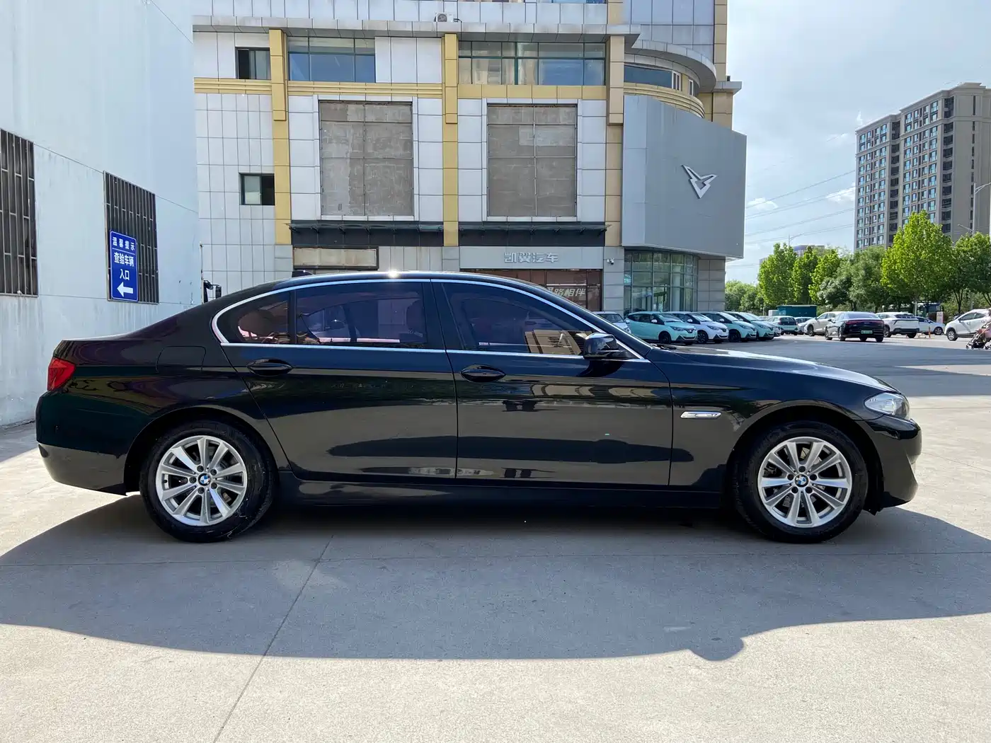 BMW 5 Series 2013 525Li Luxury фото 6
