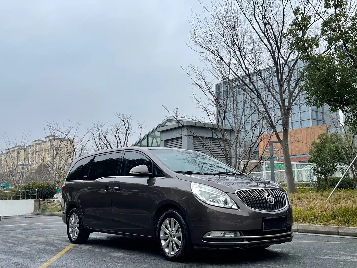 Buick GL8 2014 2.4L CT Luxury Business Comfort фото 3