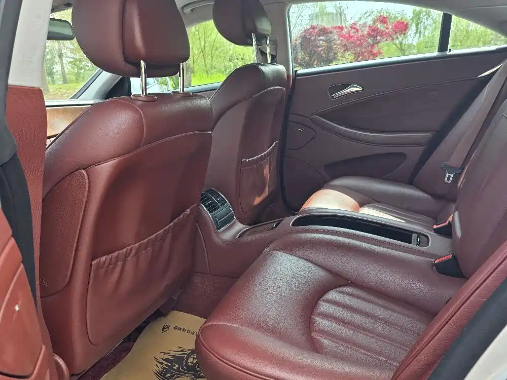 Mercedes-Benz CLS 2009 CLS 300 фото 8