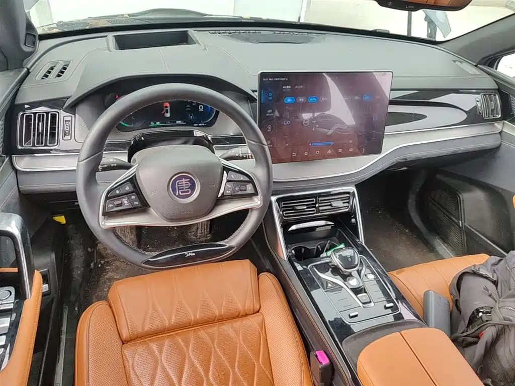 BYD Tang New Energy 2022 EV 730KM Premium фото 6
