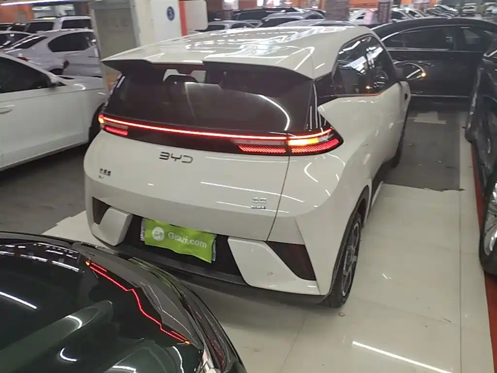 BYD Seagull 2025 Smart Drive Edition 305km Freedom Version фото 7