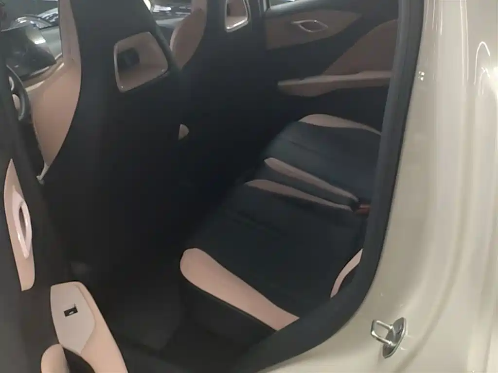 BYD Seagull 2025 Smart Drive Edition 305km Freedom Version фото 17