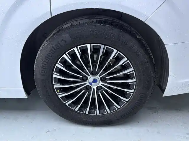 Denza D9 2023 2022 DM-i 970 All-Wheel Drive Honor Edition